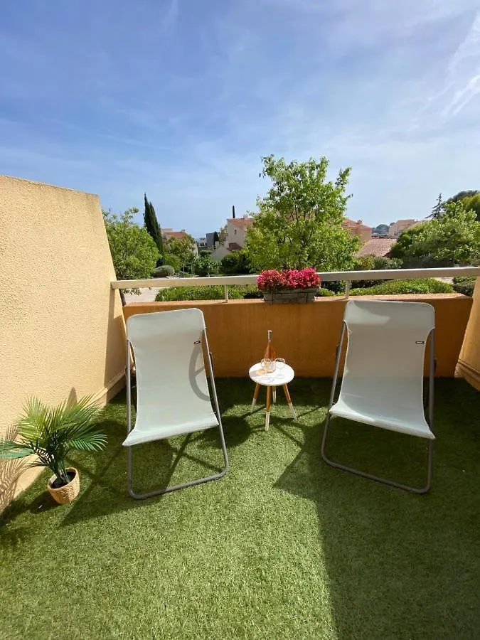 Superbe Appartement Avec Grande Terrasse Carqueiranne France
