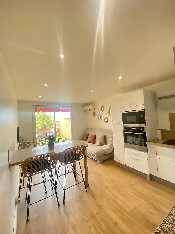 Apartment Superbe Appartement Avec Grande Terrasse Carqueiranne France